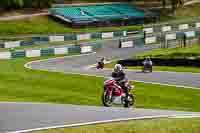 cadwell-no-limits-trackday;cadwell-park;cadwell-park-photographs;cadwell-trackday-photographs;enduro-digital-images;event-digital-images;eventdigitalimages;no-limits-trackdays;peter-wileman-photography;racing-digital-images;trackday-digital-images;trackday-photos